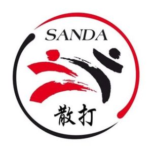 Wushu Sanda Gym