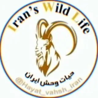 wildlife of iran