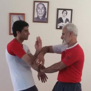 Sifu alinezhad