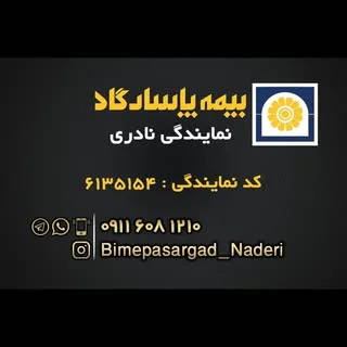 نمایندگی بیمه پاسارگاد نادری