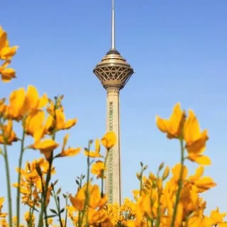 گیشا نوستالژی