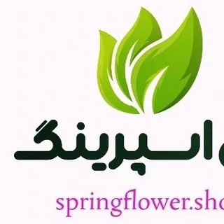 گل اسپرینگ