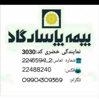 بیمه پاسارگاد