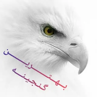 زیباترین‌پیج10تایی، برایِ‌زیبااَندیشان