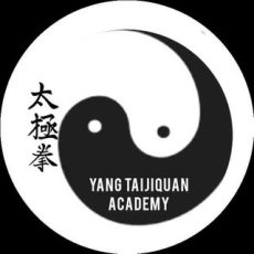 YANG TAIJIQUAN ACADEMY