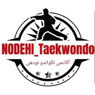 آکادمی تکواندو نودهی