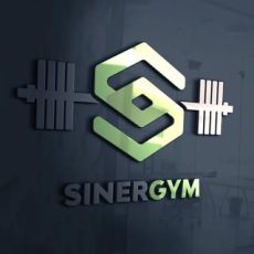 Sinergym.ir