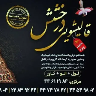 کارخانه قالیشویی درخشش سراسر تهران