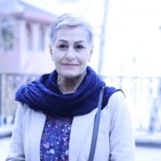 Marzieh Dehnaei