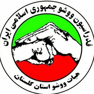 هیات ووشو گلستان