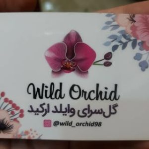 wild_orchid