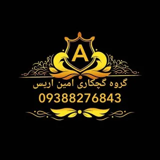 امین اریس