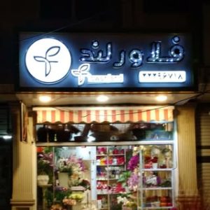 گلفروشی فلاورلند flowerland