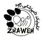ژاوه