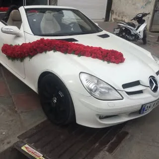 گالری گل بهاره