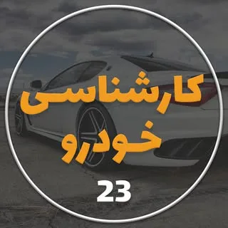 کارشناسی سیار خودرو در محل