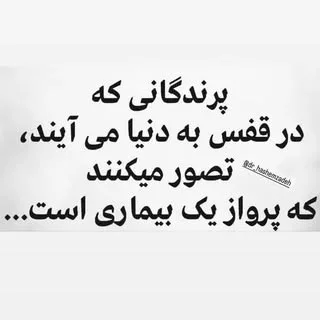 شستشوی مبل مبل شویی