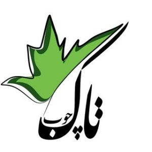 کارگاه ِچوبِ شادی میربابایی