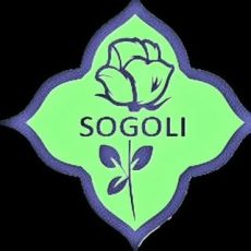 Gol Sogoli