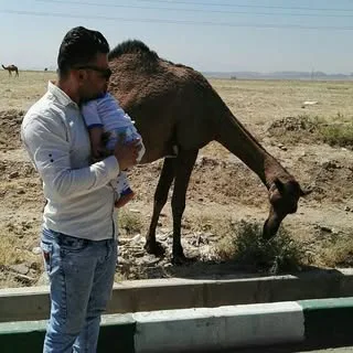 سعید حیاتی