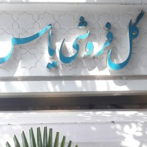 گل یاس      رضا هاشمی