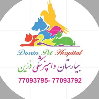 بیمارستان دامپزشکی شبانه روزى درين