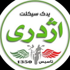 لوازم موتور سنگین (اژدری)