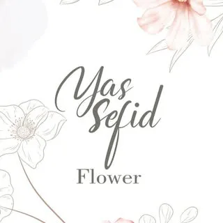 YASSEFID   یاس سفید