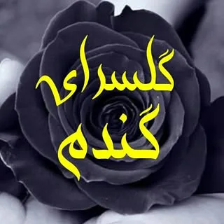 گل فروشی گلفروشی رباط کریم