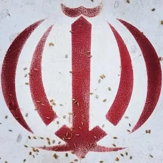 ح‌سین ق‌دیانی