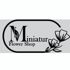 miniatur Flower /گل مینیاتور