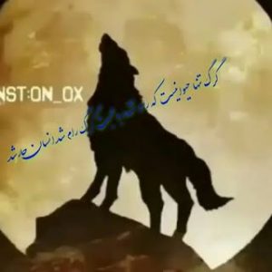 لوله بازکنی لوله کشی  انجام امور کلیه کارهای ساختمانی