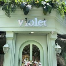 Violet Flower Gallery | گلفروشی ویولت