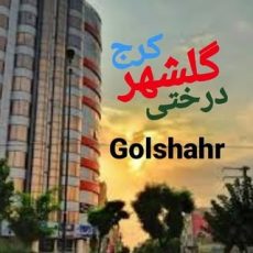 کرج گلشهر درختی karaj golshahr