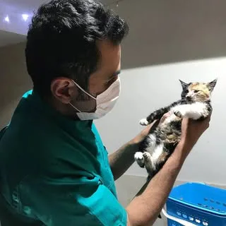 دامپزشکی پاسارگاد| دکتر محمدزاده