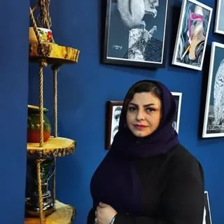 نقاشی/گالری/آموزشگاه/فروشگاه/شهریار/تابلو