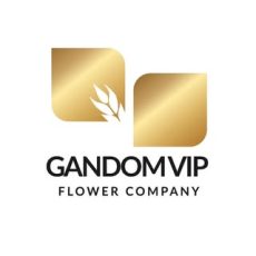 gandom vip | گل فروشی گندم