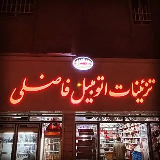 فروشگاه اینترنتی تزئینات اتومبیل فاضلی