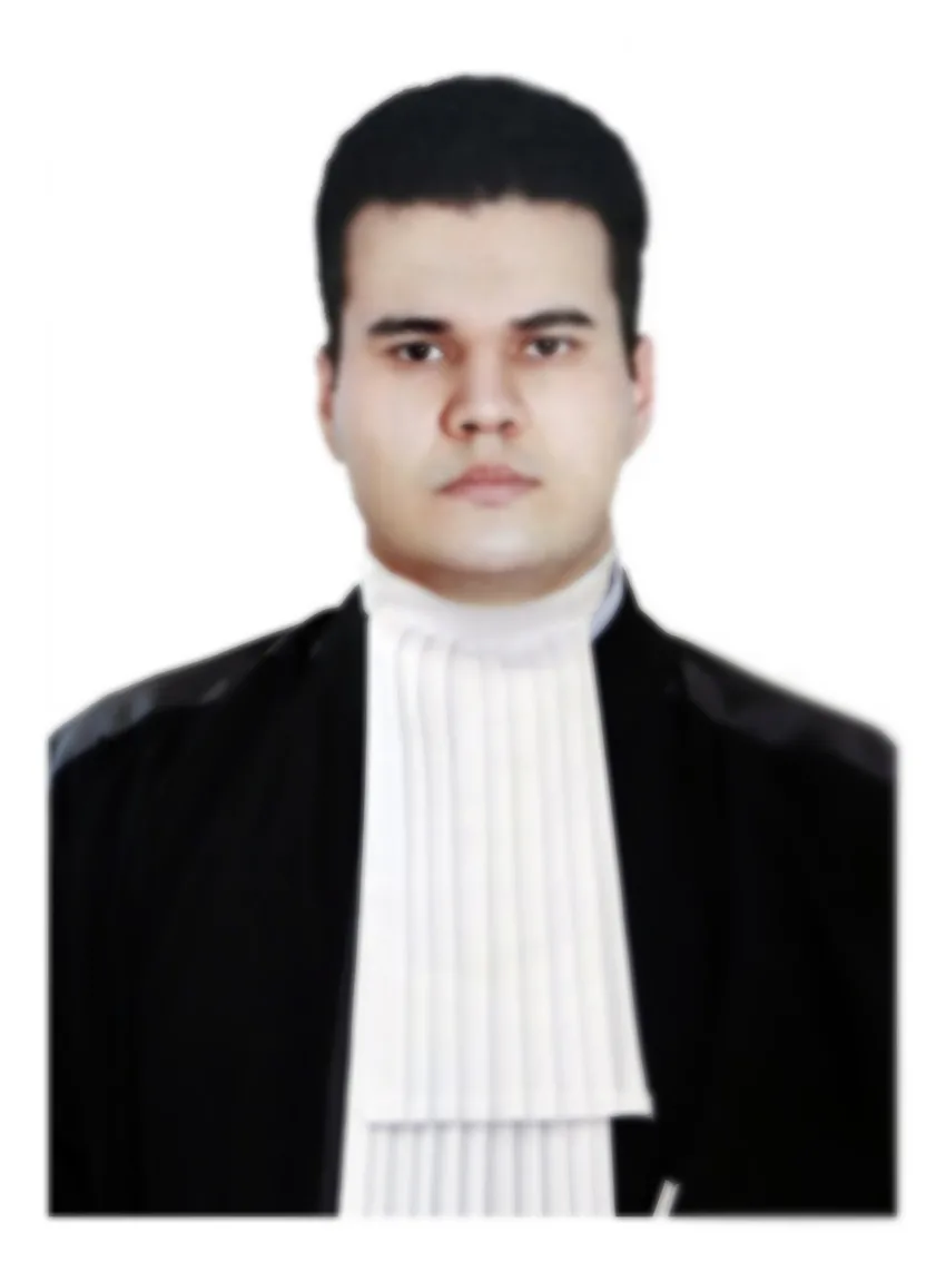 حمیدرضا کریمی / وکیل پایه یک دادگستری