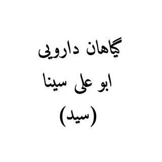 عـطـاری ابو علی سـيـنا (سيّـد)