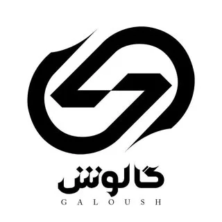 کیف و کفش چرم گالوش
