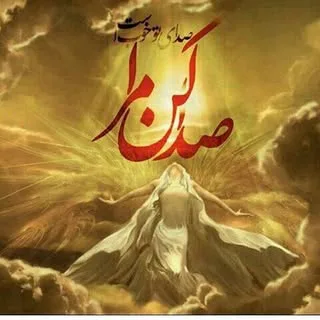 ❤ ❤بوفالو سیاه معالی اباد