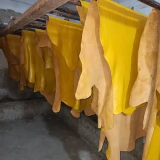 فروش چرم عمده   خرده داریم