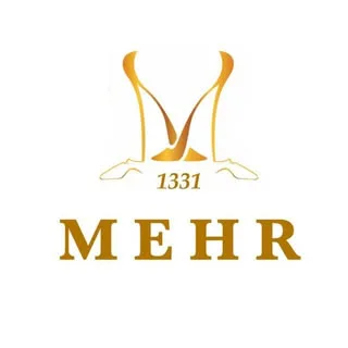 کیف کفش چرم مهر