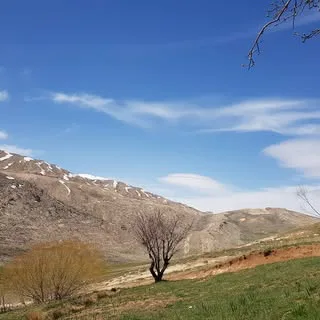 قاسمی