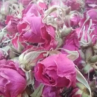 گیاهان دارویی ارگانیک