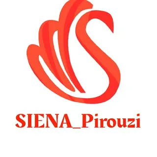 کیف و کفش چرم طبیعی سی ینا