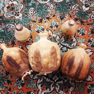 #عطاری #داروگیاهی #ادویه
