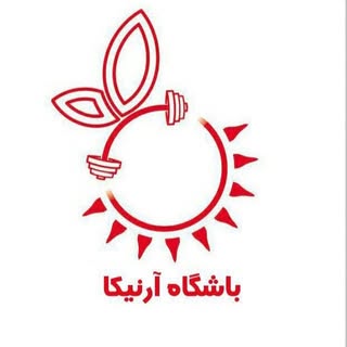 باشگاه ورزشی آرنیکا (بانوان)