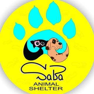 جان پناه صبا | پناهگاه حیوانات صبا